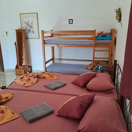 South Olives Villa Żejtun Kültér fotó